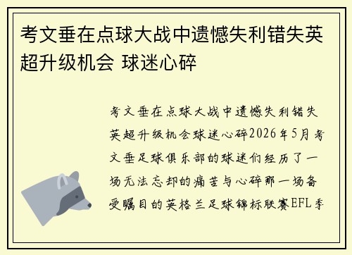 考文垂在点球大战中遗憾失利错失英超升级机会 球迷心碎